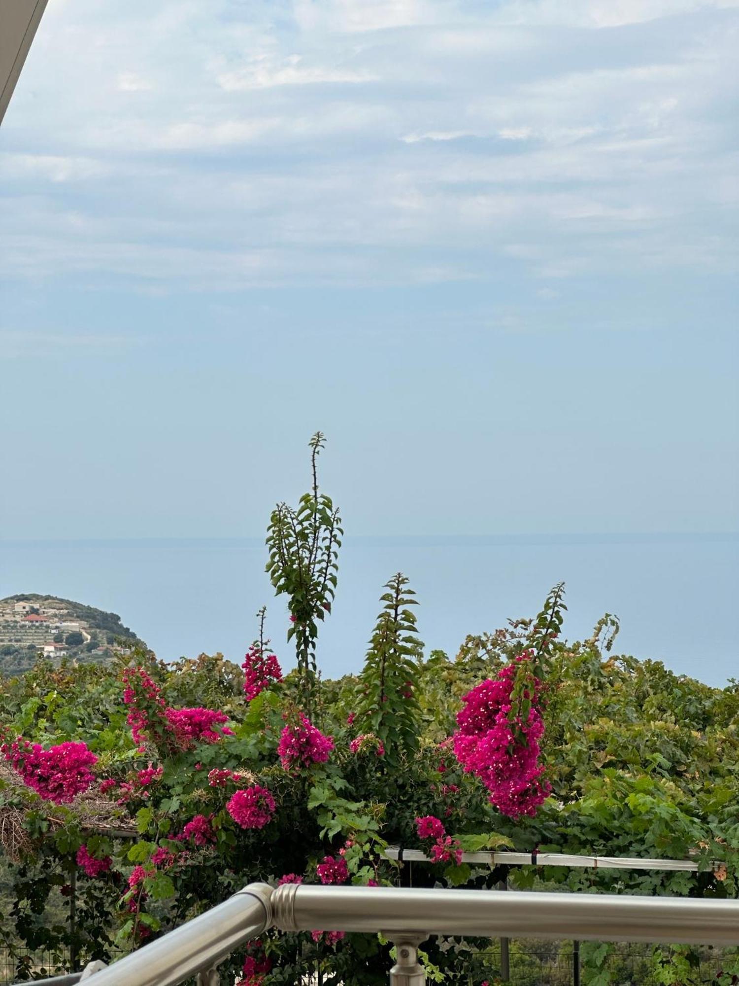 Elea Guesthouse Himara Kültér fotó