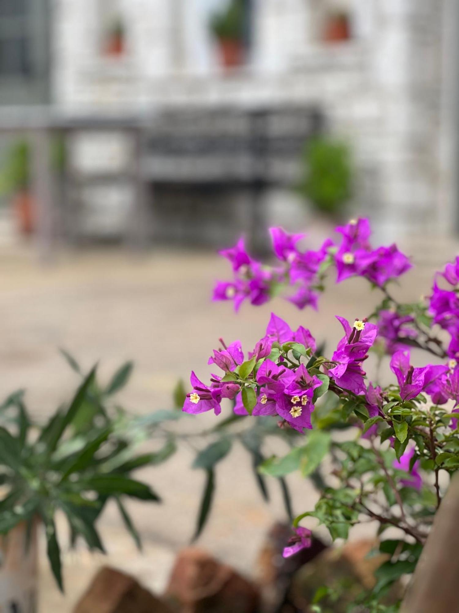 Elea Guesthouse Himara Kültér fotó