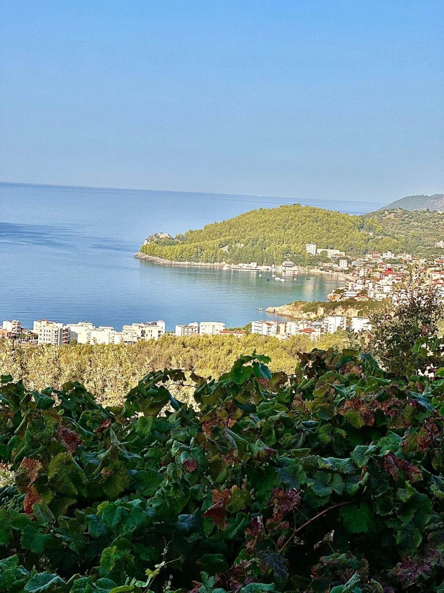Elea Guesthouse Himara Kültér fotó