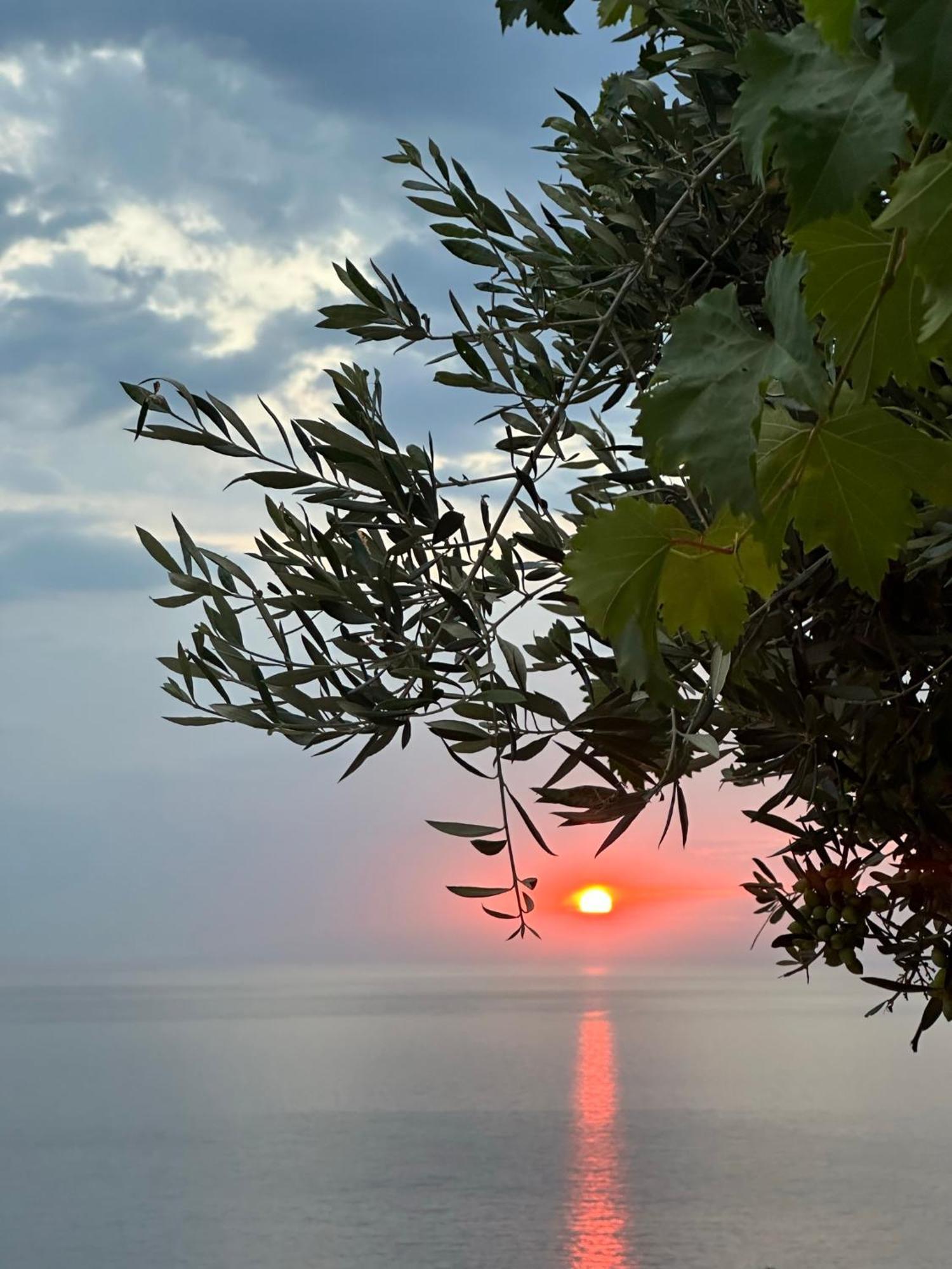Elea Guesthouse Himara Kültér fotó