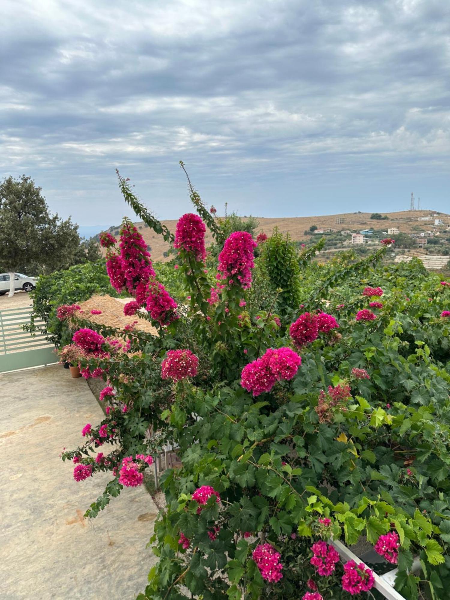 Elea Guesthouse Himara Kültér fotó
