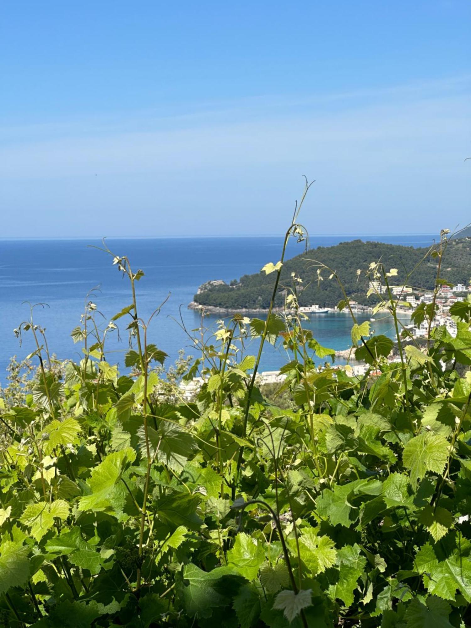 Elea Guesthouse Himara Kültér fotó